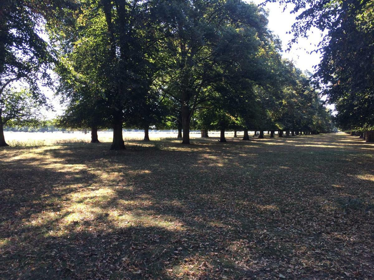 테딩턴 Old Station Gardens, Sw London B&B 외부 사진